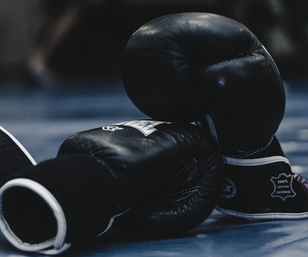 Тренування з бойових мистецтв